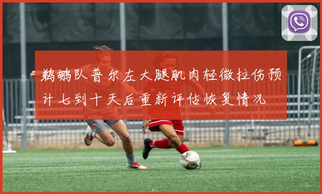 鹈鹕队普尔左大腿肌肉轻微拉伤预计七到十天后重新评估恢复情况